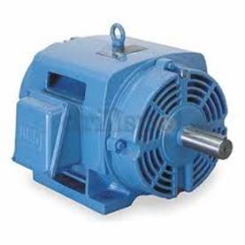 Weg Horizontal motor